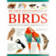 My First Encylopedia of Birds (giant Size)