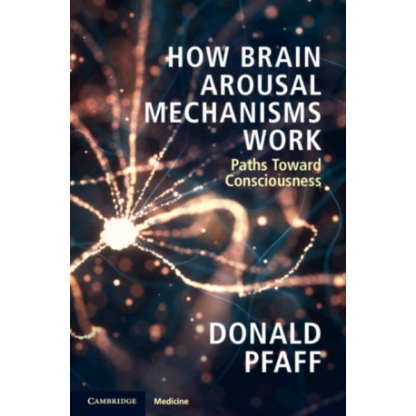 How Brain Arousal Mechanisms Work: Paths Toward Consciousness