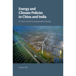 Energy and Climate Policies in China and India: A Two-Level Comparative Study