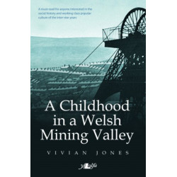 A Childhood in a Welsh Mining Valley