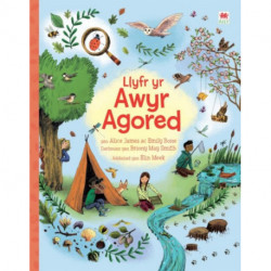 Llyfr yr Awyr Agored