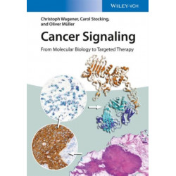 Cancer Signaling: From Molecular Biology to Targeted Therapy