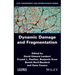 Dynamic Damage and Fragmentation