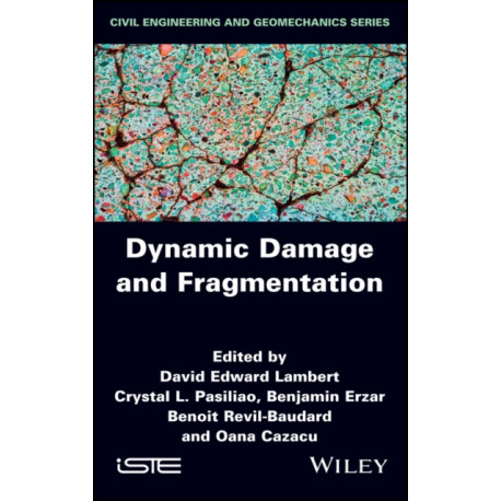 Dynamic Damage and Fragmentation