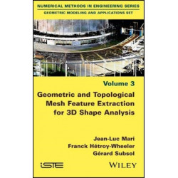 Geometric and Topological Mesh Feature Extraction for 3D Shape Analysis