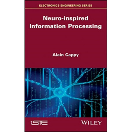 Neuro-inspired Information Processing