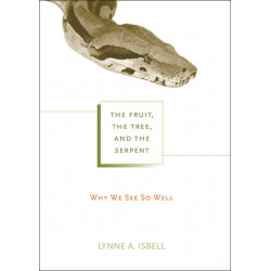 The Fruit, the Tree, and the Serpent: Why We See So Well