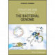 Structure and Function of the Bacterial Genome