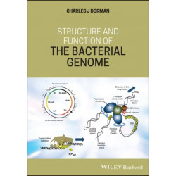 Structure and Function of the Bacterial Genome
