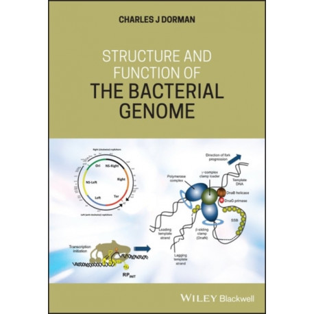 Structure and Function of the Bacterial Genome