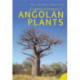 Common names of Angolan plants