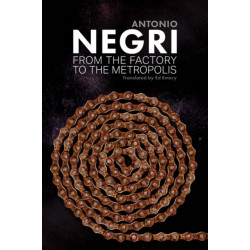 From the Factory to the Metropolis: Essays, Volume 2