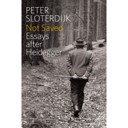 Not Saved: Essays After Heidegger