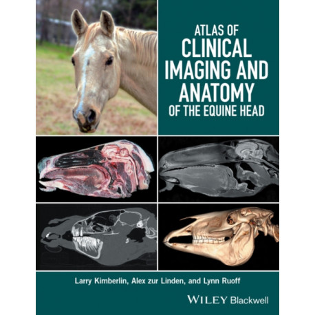 Atlas of Clinical Imaging and Anatomy of the Equine Head