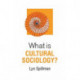 What is Cultural Sociology?