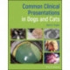 Common Clinical Presentations in Dogs and Cats