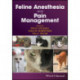 Feline Anesthesia and Pain Management