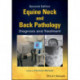 Equine Neck and Back Pathology: Diagnosis and Treatment