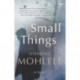 Small things: A novel