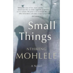 Small things: A novel