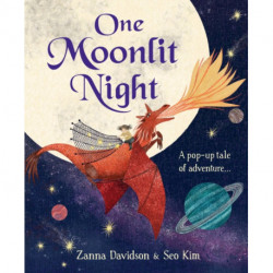 One Moonlit Night