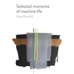 Selected moments of machine life