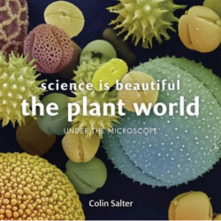 Science is Beautiful: Botanical Life: Under the Microscope