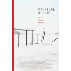 Critical Norths: Space, Nature, Theory