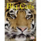 BC NF Brown B/3B Big Cats