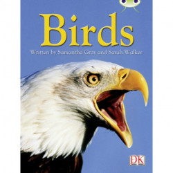 BC NF Grey B/4C Birds