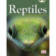 BC NF Red (KS2) B/5B Reptiles
