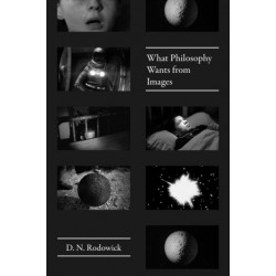 What Philosophy Wants from Images