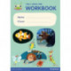 Bug Club Comprehension Y5 Term 2 Pupil Workbook 16-pack