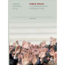 Public Policy: A Comprehensive Introduction