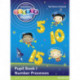 Heinemann Active Maths Northern Ireland - Key Stage 1 - Exploring Number - Pupil Book 1 - Number Processes