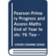 Pearson Primary Progress and Assess Maths End of Year tests: Y6 Teacher's Guide