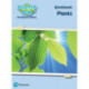 Science Bug: Plants Workbook