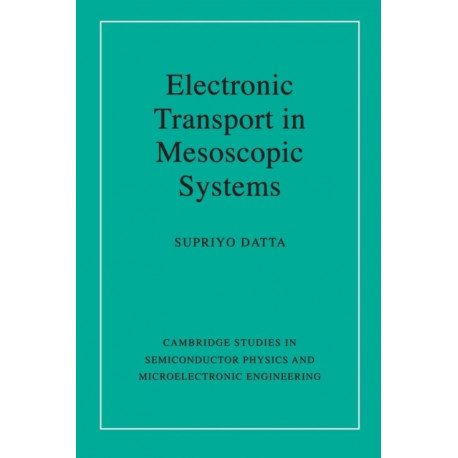 Electronic Transport in Mesoscopic Systems