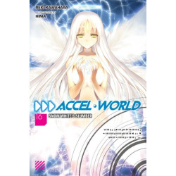 Accel World, Vol. 16 (light novel)