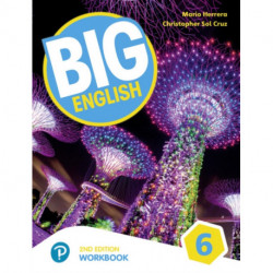 Big English AmE 2nd Edition 6 Workbook with Audio CD Pack