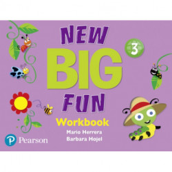 Big Fun Refresh Level 3 Workbook