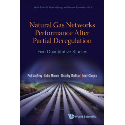Natural Gas Networks Performance After Partial Deregulation: Five Quantitative Studies