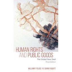 Human Rights and Public Goods: The Global New Deal