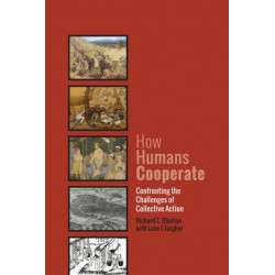 How Humans Cooperate: Confronting the Challenges of Collective Action