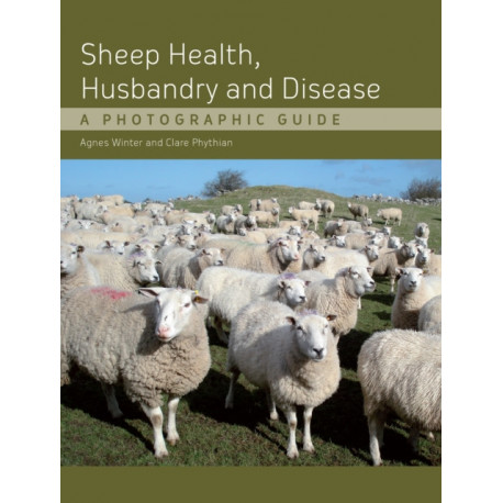 Sheep Health, Husbandry and Disease: A Photographic Guide